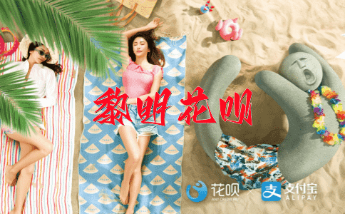 叶公好龙花呗